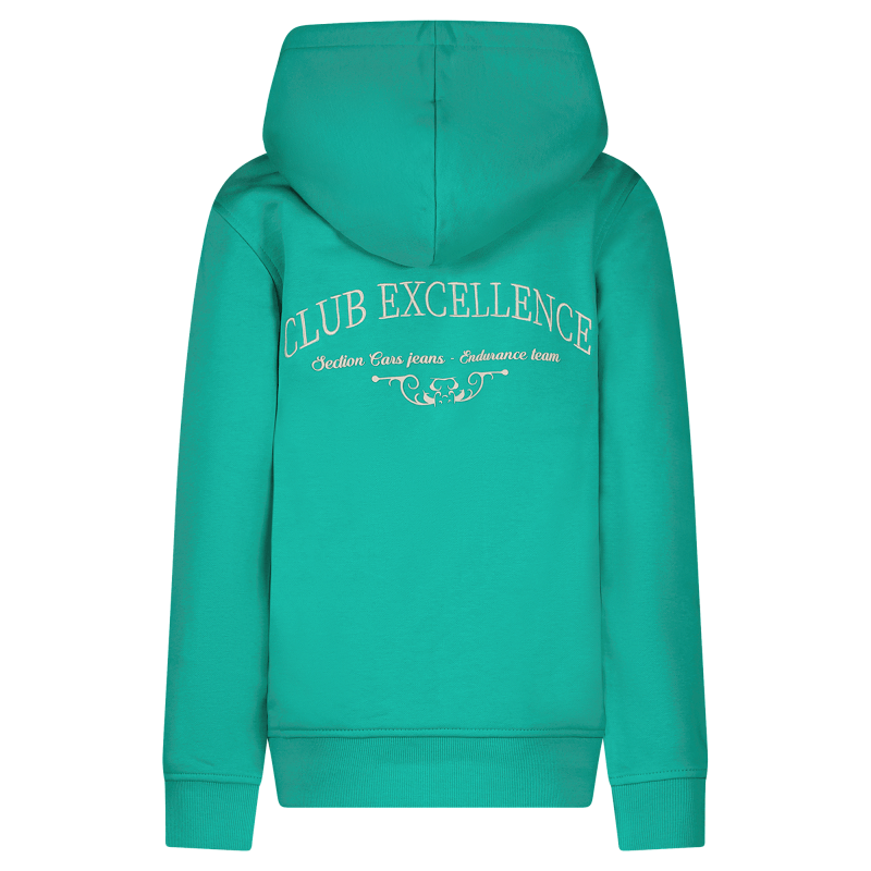 Cars Jongens Hoodie, CELENCE, Green