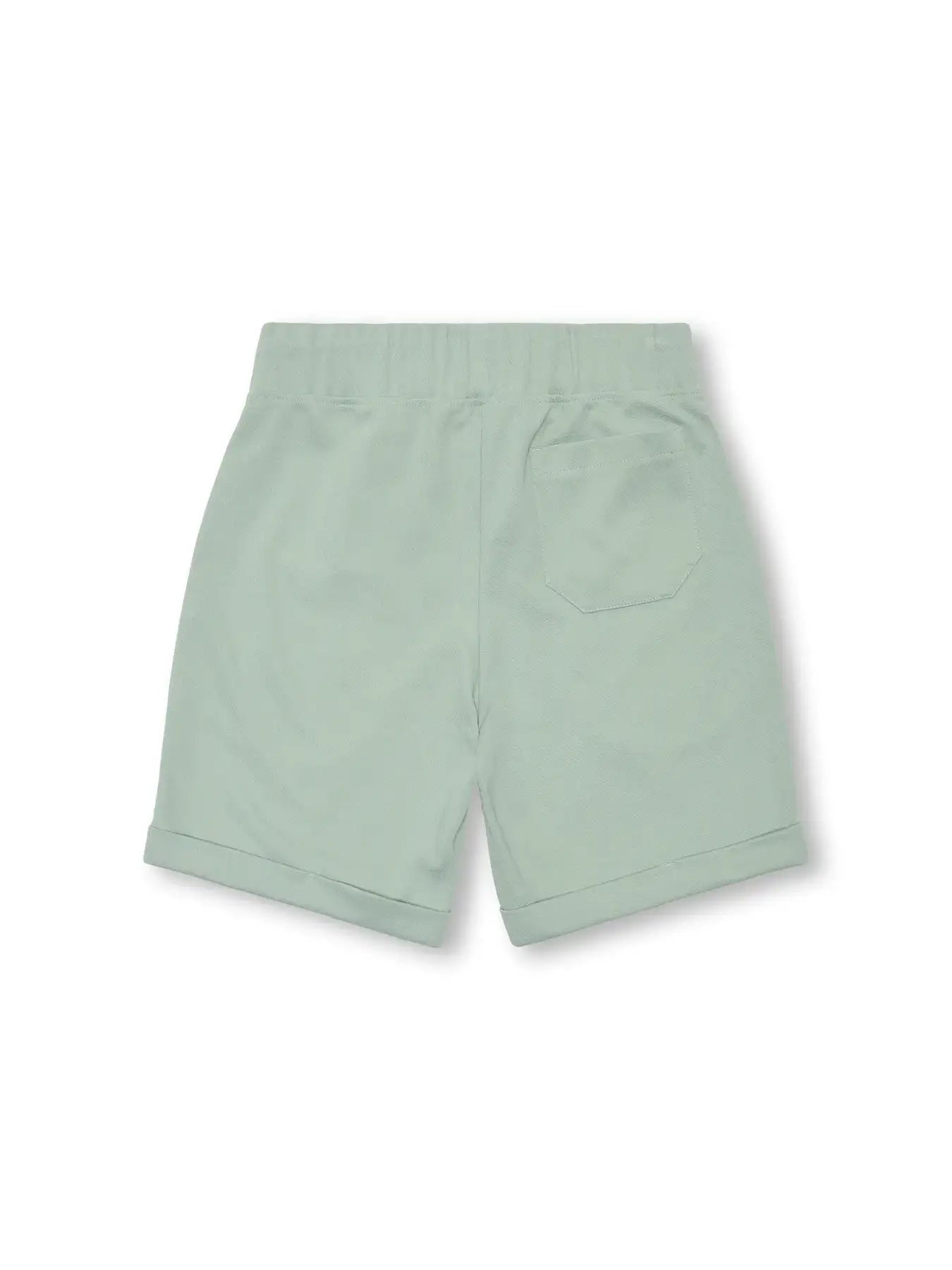 Kids Only & Sons NEWKODYL Jog Shorts in Iceberg Green, rear view, perfect for summer wear.