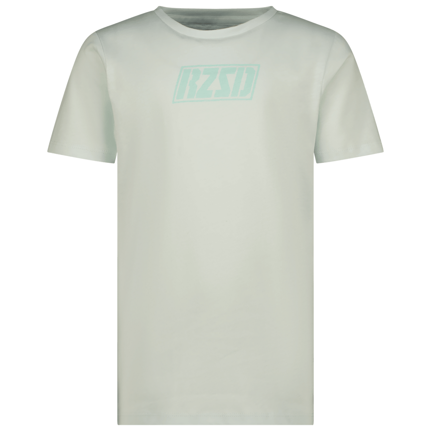 Raizzed Jungen T-Shirt HARELL Dusty Blue