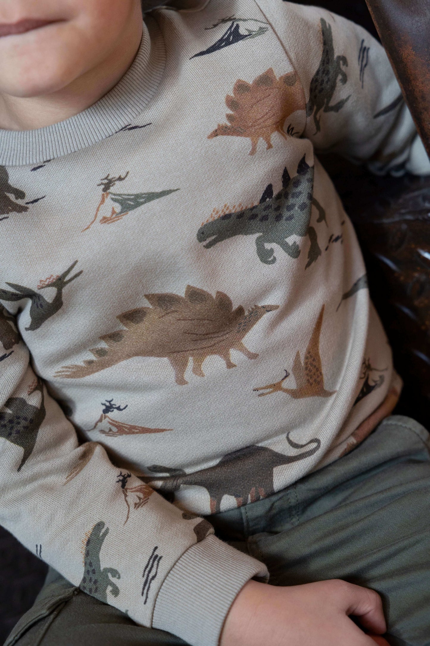 Robuster He-Ho-Dino-Pullover