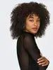 Only Top ERICA, Black Splassed cow