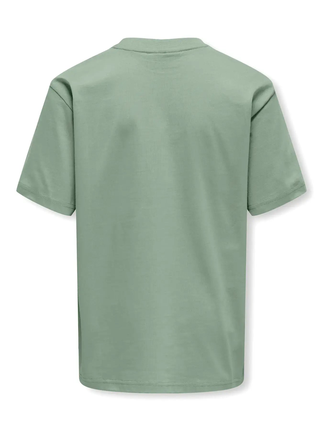 Kids Only & Sons FRED MALTO Shirt in Ice Berg Green - Back View of Short Sleeve Tee