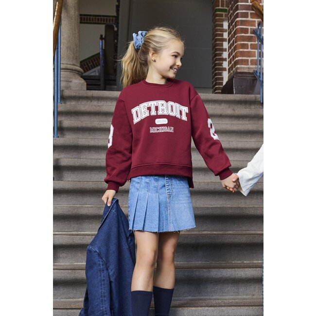 Kids Only Girls, Sweater, VICTORY, Cabernet Detroit/Cloud Dancer