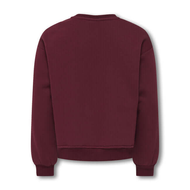 Kids Only Girls, Sweater, VICTORY, Cabernet Detroit/Cloud Dancer