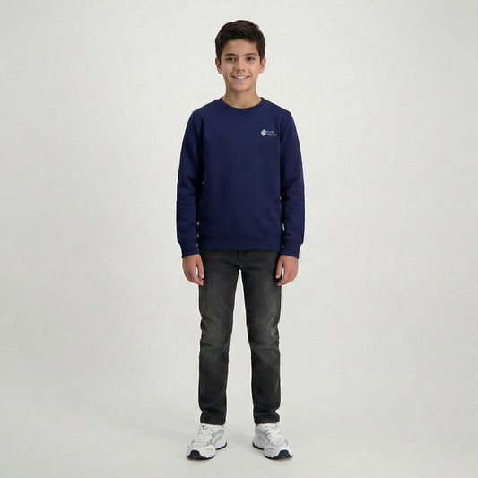 Cars, Jongens, Trui, FROY, Navy