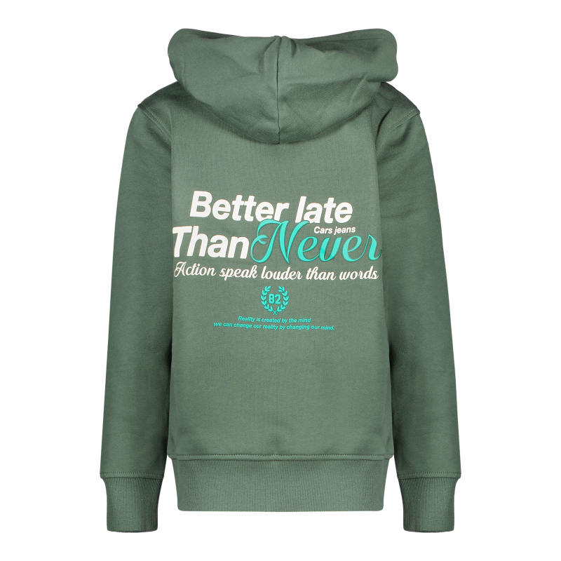 Cars Jongens Hoodie, DUKEY, Bottle