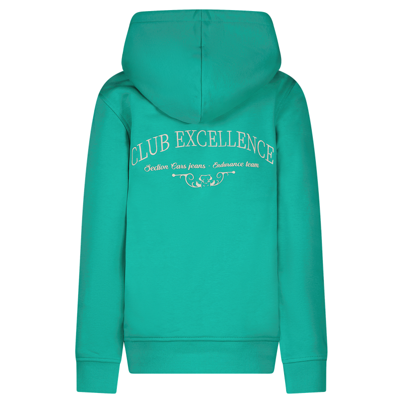 Cars Jongens Hoodie, CELENCE, Green