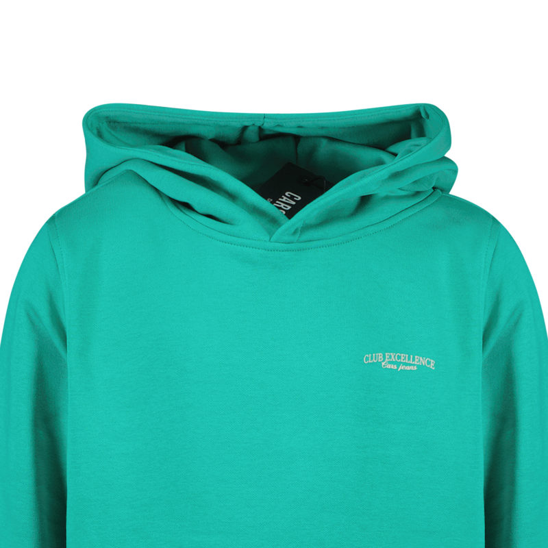 Cars Jongens Hoodie, CELENCE, Green