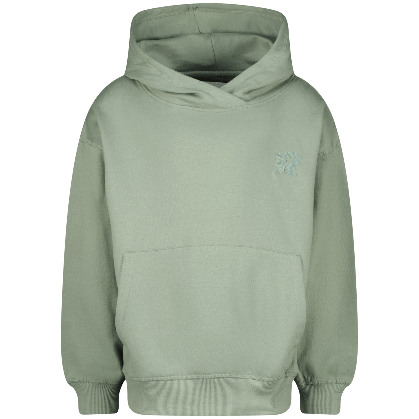 Raizzed Boys AUSTIN Hoodie Hedge Green