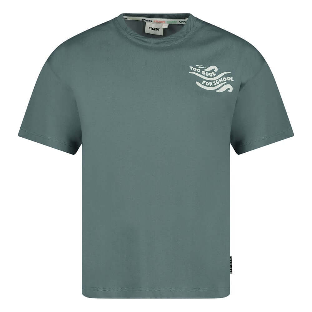 Sturdy Jongens T-shirt oversized, Lagoon Legends, Petrol