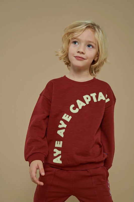 Sturdy Boys Sweater, WAVES AND WHALES, Bordeaux