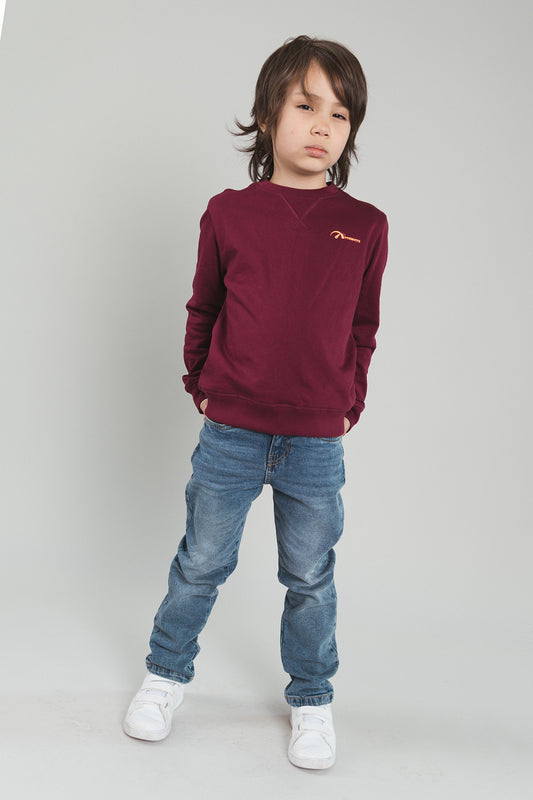 TYGO&vito Jongens, Sweater, SILVER, Merlot