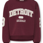 Kids Only Girls, Sweater, VICTORY, Cabernet Detroit/Cloud Dancer